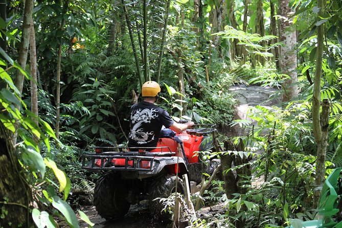 1.5 Hours Bali ATV Quad Tour - Who This ATV Quad Tour Suits Best