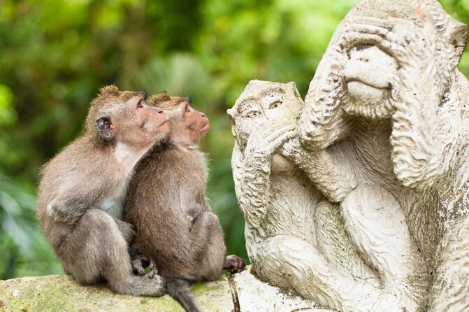 1-Day Ubud Tours All-Inclusive - Key things to know before you go