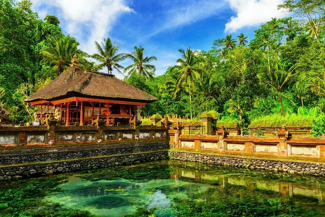 1-Day Ubud Tours All-Inclusive - Ulu Petanu Waterfall: the wet highlight that often wins the day