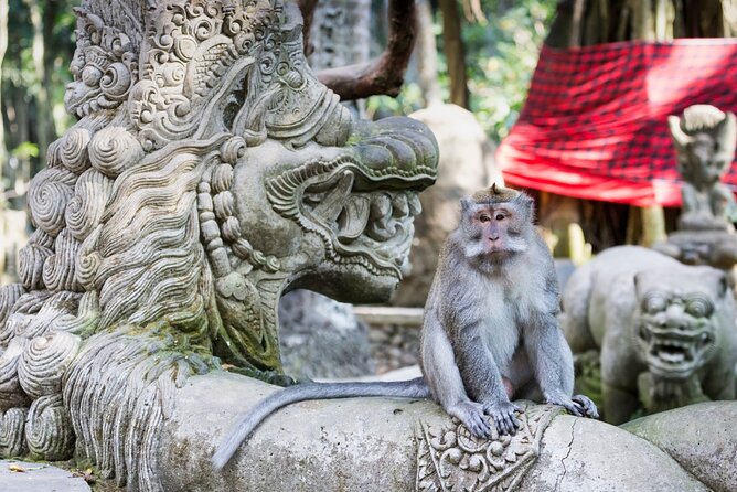 1-Day Ubud Tours All-Inclusive - Tegenungan views and rice terrace scenery: the “big postcard” moment