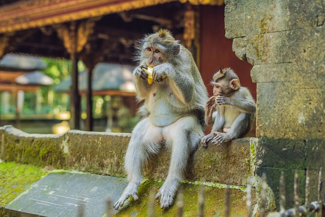 1-Day Ubud Tours All-Inclusive - Swing experience: fun energy, best treated like a photo stop with limits