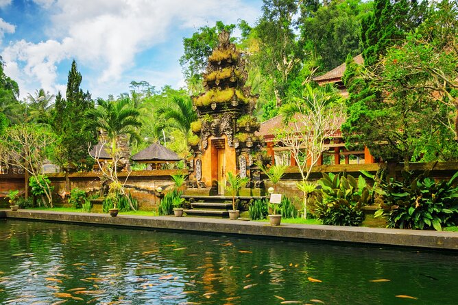1-Day Ubud Tours All-Inclusive - Sacred Monkey Forest Sanctuary: follow the rules and keep it calm