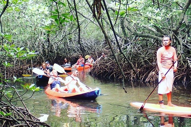 1 Hour Mangrove Tour From Lembongan with Kayak, Paddle, or Boat - Mangroves on Nusa Lembongan: what you’re really paddling through