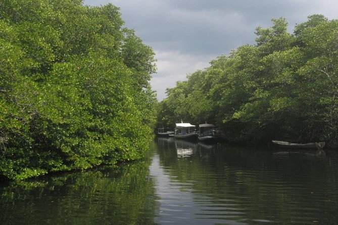 1 Hour Mangrove Tour From Lembongan with Kayak, Paddle, or Boat - Pickup and meeting point: skipping the scooter math