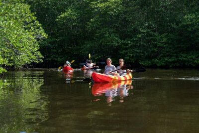 1 Hour Mangrove Tour From Lembongan with Kayak, Paddle, or Boat - How the 1-hour kayak or SUP session plays out