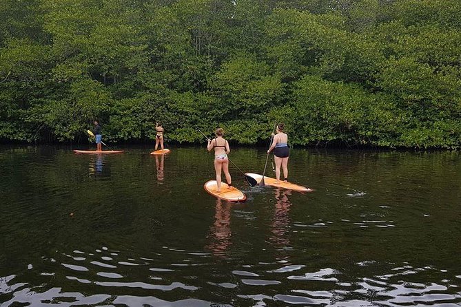 1 Hour Mangrove Tour From Lembongan with Kayak, Paddle, or Boat - Timing reality check: 45 minutes, 2 hours, and everything in between