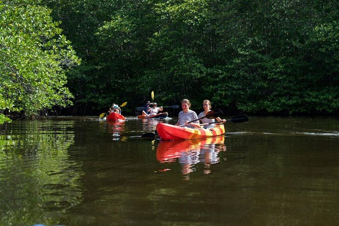 1 Hour Mangrove Tour From Lembongan with Kayak, Paddle, or Boat - How the 1-hour kayak or SUP session plays out