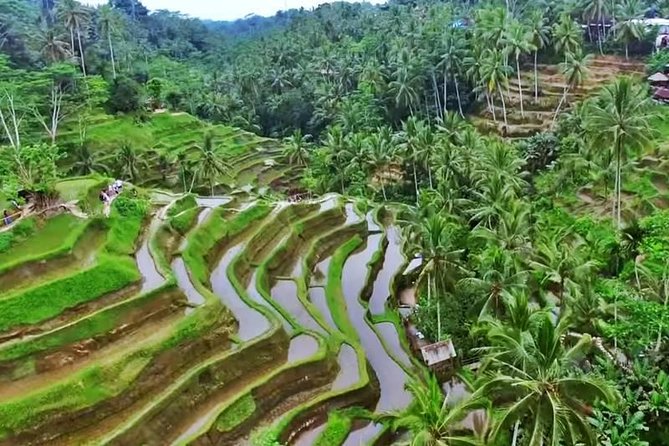 2-Day Experience Bali: Most Popular Tour - Seminyak pickup: what “private tour” changes in Bali