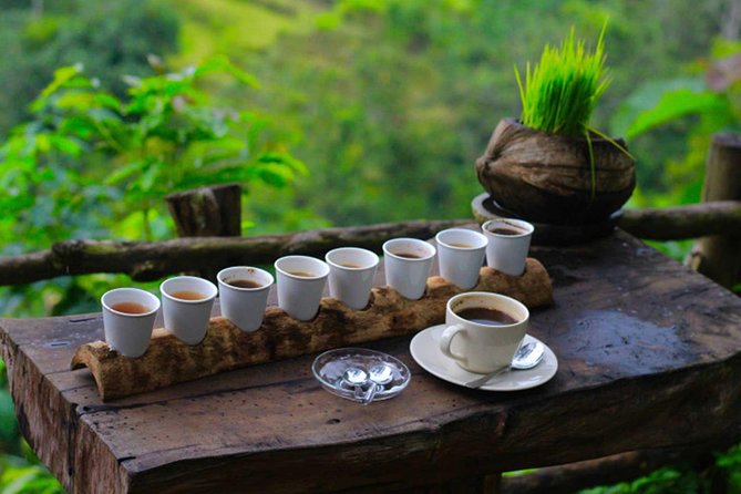 2 Days Best of Bali Famous Tour Packages - Included Lunches and Dinners: Convenient, But Know Your Expectations