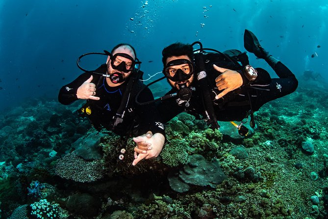 2 Days Discover Scuba Diving in Nusa Lembongan - Scuba Initiation - Marine life: what you can realistically hope to see