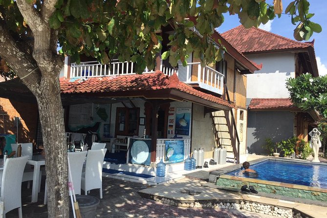 2 or 3 dives in Nusa Lembongan and Penida, for certified diver (in Lembongan) - What the boat day feels like: lunch, surfaces, and small groups