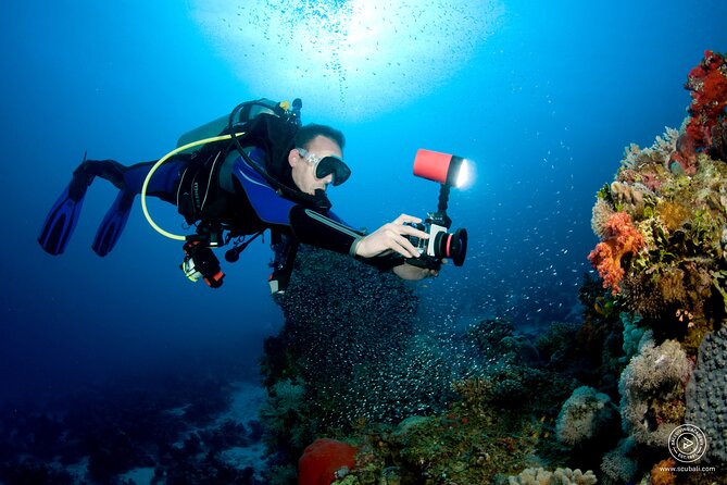 2 or 3 dives in Nusa Lembongan and Penida, for certified diver (in Lembongan) - Who this is best for (and who should think twice)