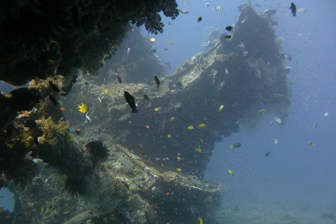 2 PADI Certified Dives at Tulamben from Bali - What you’re really signing up for in Tulamben