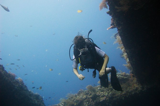 2 PADI Certified Dives at Tulamben from Bali - Guides, gear, and the small-group advantage