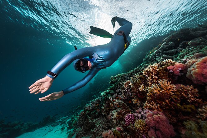 3-Day Freediving Level 1 Course - Key things that make this course worth your time