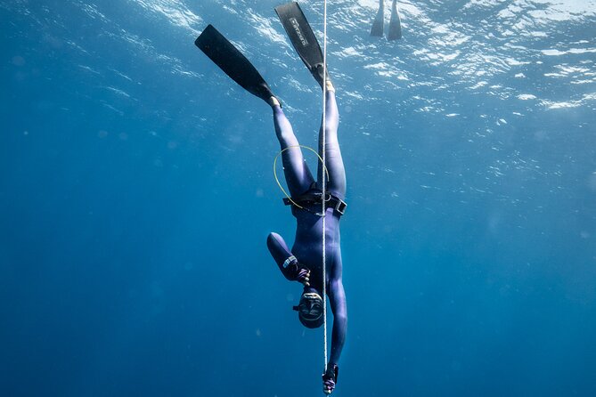 3-Day Freediving Level 1 Course - Price and value: what $450 really buys you