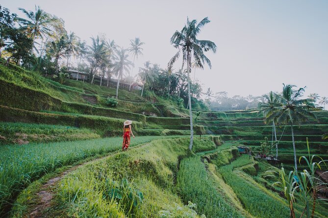 3 Days for the best of Ubud Private Tour - Day 2: Tukad Cepung cave waterfall, Penglipuran village, and the blue-lagoon and photo-waterfall pair