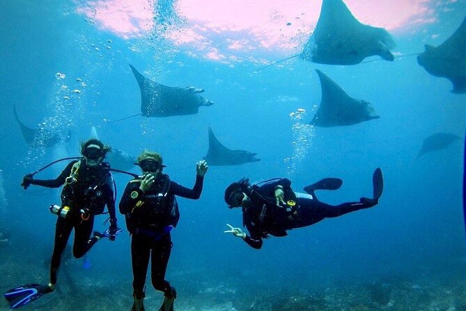 3 Epic Dives in Nusa Penida - Certified Divers' Day Trip - Key Highlights You Should Know Before You Go