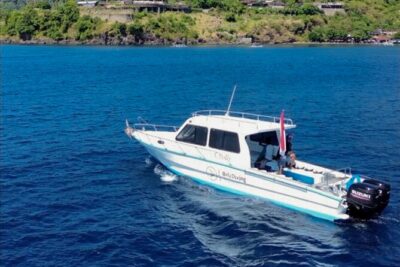 3 Epic Dives in Nusa Penida - Certified Divers' Day Trip - The Morning Run: Pickup From Kuta to Sanur (6:45–8:00)