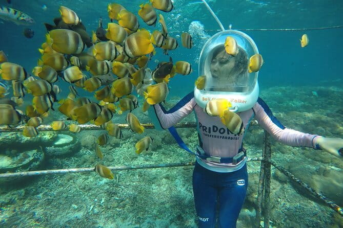 30 Minutes Ocean Walking in Nusa Dua, Bali - Key Points to Know Before You Go