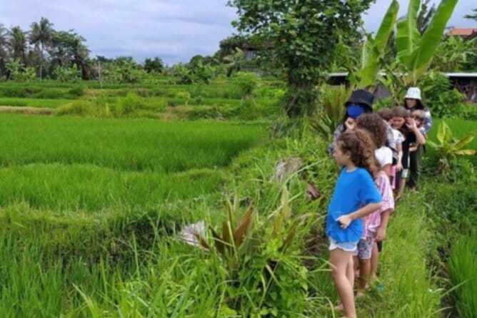 30 Minutes Ocean Walking in Nusa Dua, Bali - Price and What You’re Really Paying For