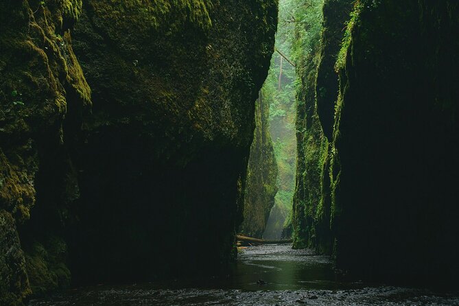 3Hrs Intermediate Canyoning in North Bali (Pickup, Lunch & GoPro) - What to bring (so the day feels easier)