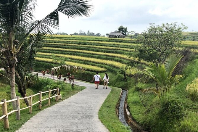 4-Hour Private Tour in Jatiluwih Terraces and Butterfly Park - From Kuta in Four Hours: Private Pickup That Actually Saves Time