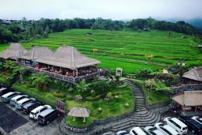 4-Hour Private Tour in Jatiluwih Terraces and Butterfly Park - Bali Butterfly Park: Colorful Wings and Easy Photo Spots