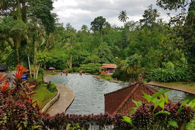 4-Hour Private Tour in Jatiluwih Terraces and Butterfly Park - Driver Skills, Short Cuts, and the Small Culture Stops