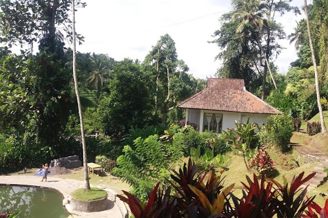 4-Hour Private Tour in Jatiluwih Terraces and Butterfly Park - What the $70 Price Covers (and How to Judge the Value)