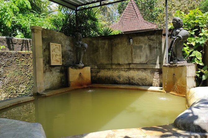 4-Hour Private Tour in Jatiluwih Terraces and Butterfly Park - When to Go and What Weather Can Change
