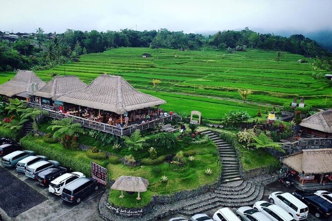 4-Hour Private Tour in Jatiluwih Terraces and Butterfly Park - Bali Butterfly Park: Colorful Wings and Easy Photo Spots