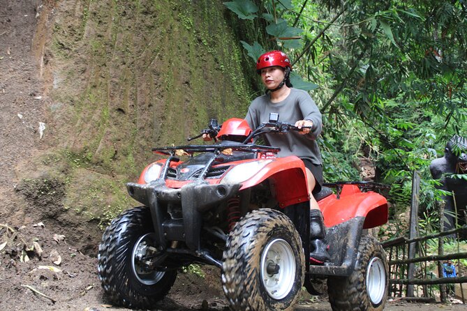 Affordable ATV Quad Bike Adventure In Ubud - Price and Value: Why $33 Can Feel Like a Steal