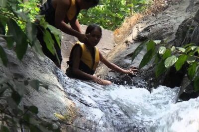 Aling-aling Waterfall tours - Private Pickup and Transportation: Fewer Headaches, More Flexibility