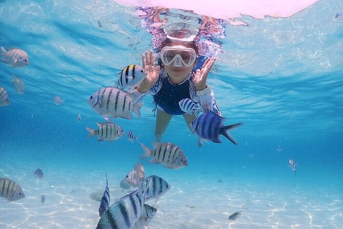 (ALL- IN) Bali Snorkeling Blue Lagoon with Waterfall Visit - Lunch, Then Tegenungan Waterfall: View It, Don’t Swim It