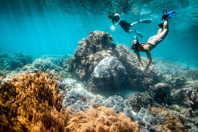 All Inclusive Bali Blue Lagoon and Tanjung Jepun Snorkeling - Ubud to Padang Bai: why this day trip keeps the stress low