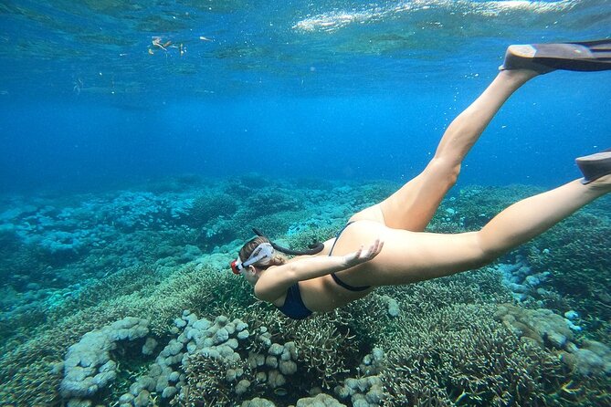 All Inclusive Bali Blue Lagoon and Tanjung Jepun Snorkeling - Lunch between swims: Indonesian food and real recovery time