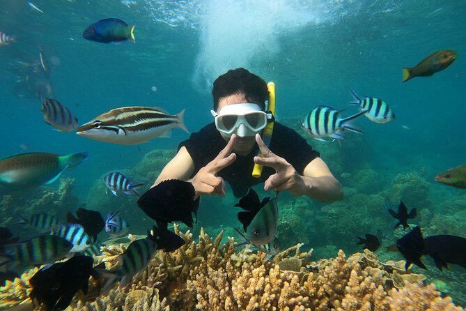 All Inclusive Bali Blue Lagoon and Tanjung Jepun Snorkeling - Should you book Bali Blue Lagoon and Tanjung Jepun snorkeling?