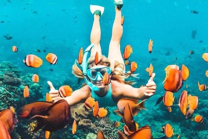 All Inclusive : Bali Blue Lagoon Snorkeling, Lunch, and Transport - Blue Lagoon: your calmer first splash
