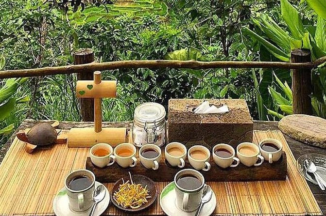 All Inclusive Bali Blue Lagoon Snorkeling with Lunch and Transport - Coffee plantation at 4:30 p.m.: a late-day cultural pause