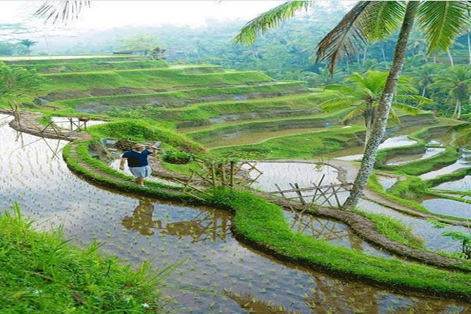 ALL INCLUSIVE - Bali Gate Of Heaven Tour - Tukad Cepung waterfall: a hidden approach with stairs and narrow spaces