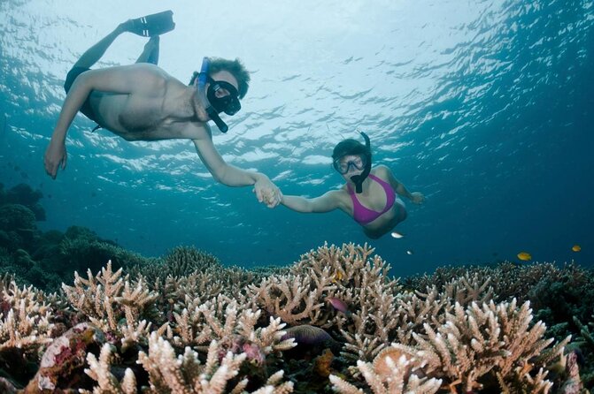 All Inclusive Bali Scuba Diving at Tulamben with Lunch -Transport - Key points at a glance