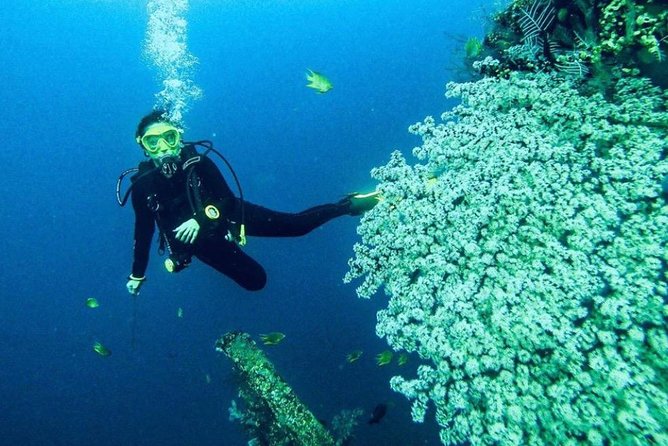 All Inclusive Bali Scuba Diving at Tulamben with Lunch -Transport - Small details that make the experience feel professional