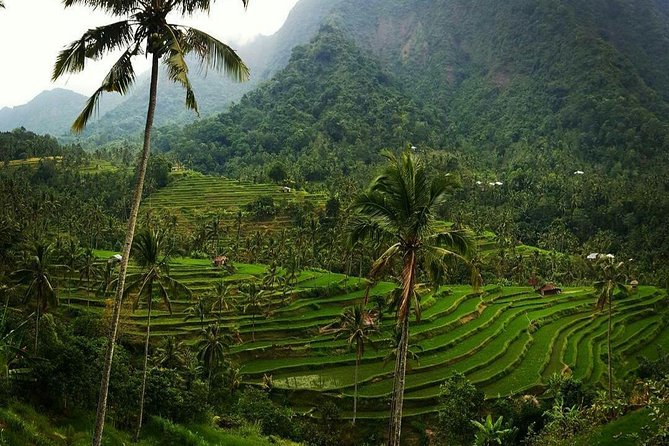 All inclusive Bali Sekumpul Waterfalls Trekking Tour - Optional Stops: Temples, Wanagiri Hills, and the Handara Gate