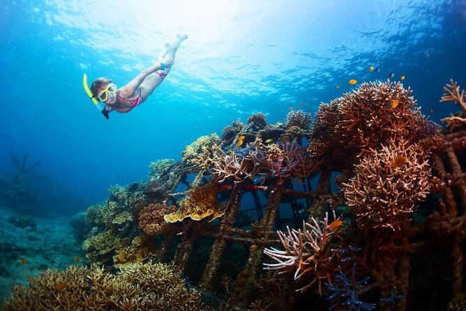 All-Inclusive Bali Snorkeling at Blue Lagoon Beach & ATV Ride - Price and Value: Is $100 Worth It Here?