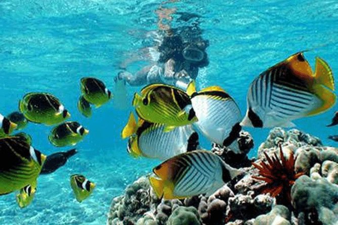All Inclusive Bali Snorkeling Blue Lagoon tour experience - The Boat Day Starts at Padangbai Beach