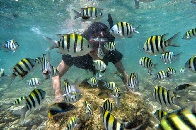 All Inclusive Bali Snorkeling Blue Lagoon tour experience - Lunch and Bottled Water: Fuel for the Afternoon