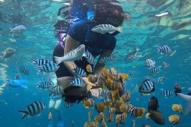 All Inclusive Blue Lagoon Snorkeling with Bali ATV Quad Adventure - Who Should Book This (and Who Might Skip It)