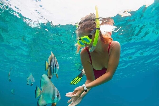 All Inclusive Blue Lagoon Snorkeling with Bali ATV Quad Adventure - Blue Lagoon Snorkeling: Clear Water, Coral, and a Chance at Turtle