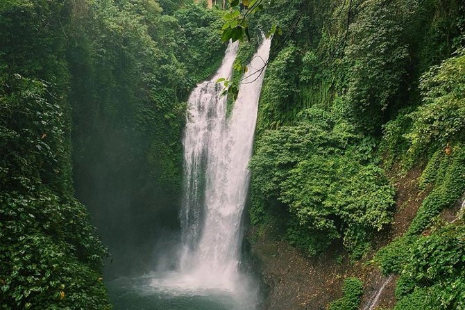 All Inclusive : Jumping Sliding at Aling- Aling Waterfall - Handara Gate - Lunch - Coffee plantation stop: a calmer Bali pause